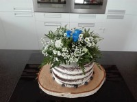 /album/fotogalerie-2017/a19225656-1372731282816184-9153203836231763537-n-jpg/